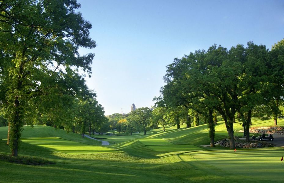 a large green field with trees in the background